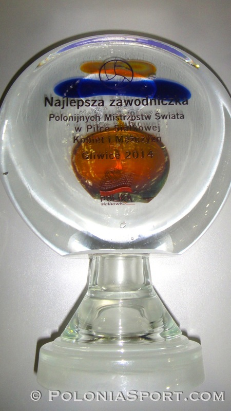 Polonijne Mistrzostwa Świata w Piłce Siatkowej - GLIWICE 2014  - 02