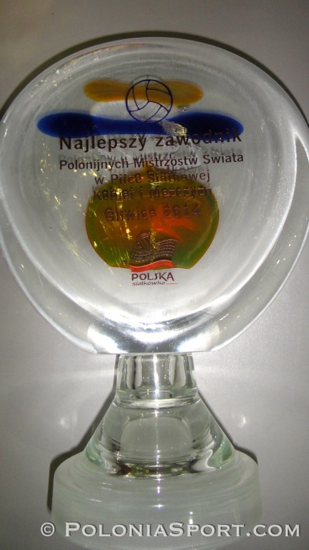 Polonijne Mistrzostwa Świata w Piłce Siatkowej - GLIWICE 2014  - 03
