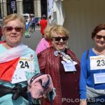 Polonia Sport - Friedenslauf 2017