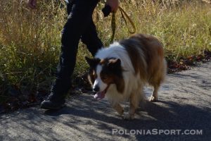X Maraton Beskidy