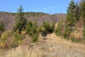 X Maraton Beskidy