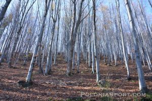 X Maraton Beskidy