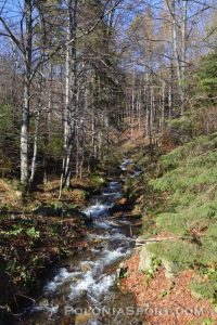 X Maraton Beskidy