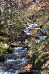 X Maraton Beskidy