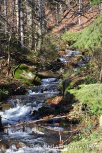X Maraton Beskidy